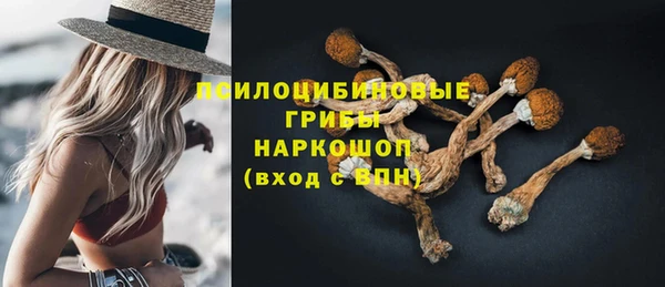 марки lsd Козельск