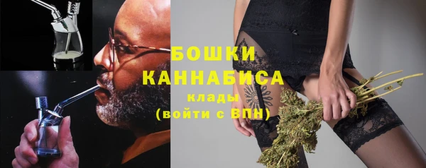 ГАЛЛЮЦИНОГЕННЫЕ ГРИБЫ Кодинск