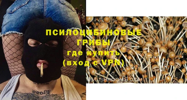 трава Козловка