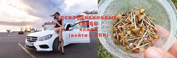 ГАЛЛЮЦИНОГЕННЫЕ ГРИБЫ Кодинск