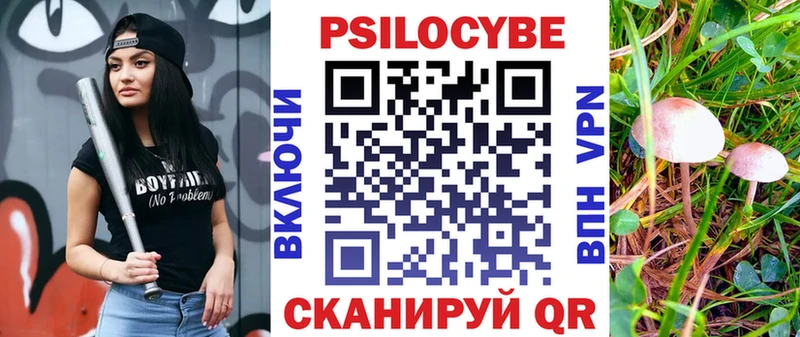 Купить  Оса  Галлюциногенные грибы ЛСД 