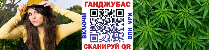 Купить где  Оса  Шишки марихуана SATIVA & INDICA 